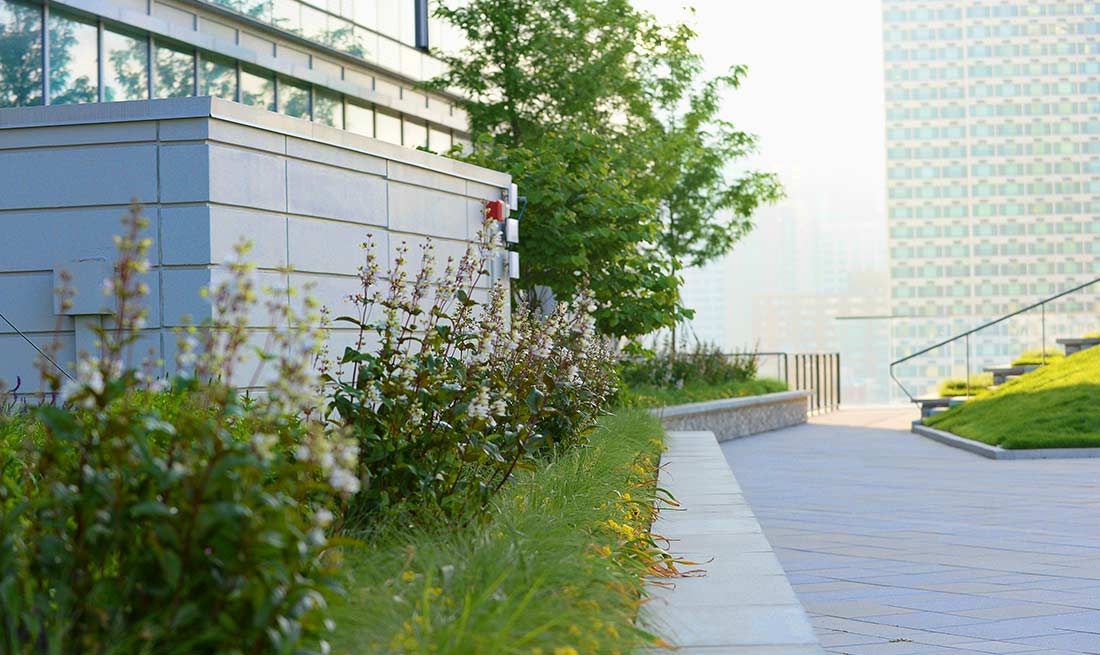 Green roof growing substrate products - rooflite Australia